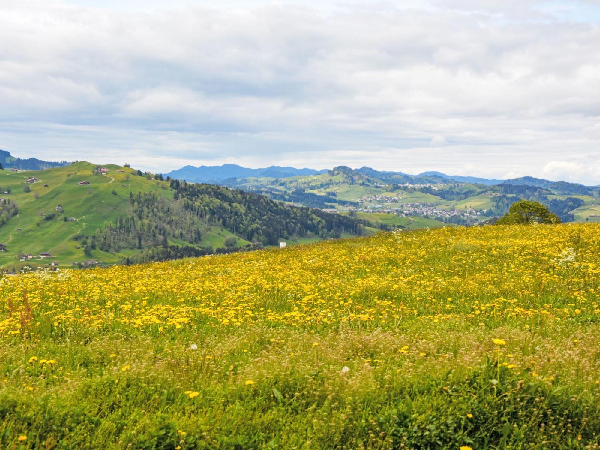 Panoramablick By Interhome * Haslen